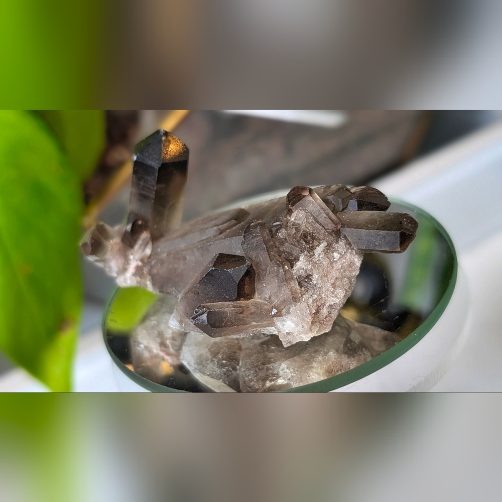 Smokey Quartz Crystal Cluster